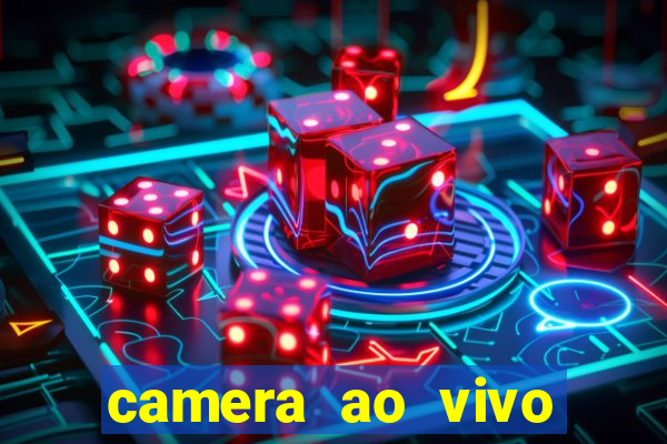 camera ao vivo beto carrero